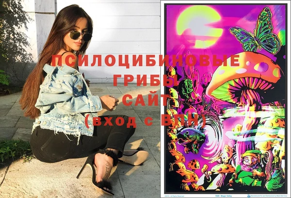 mix Богородицк