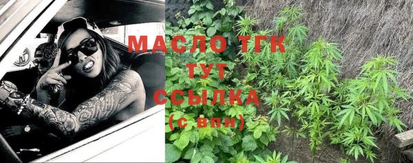 mix Богородицк