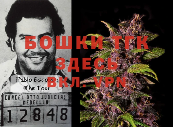 mix Богородицк