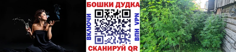 Бошки марихуана индика Томмот